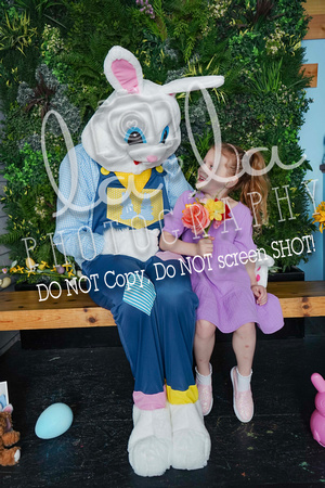 DSC06592