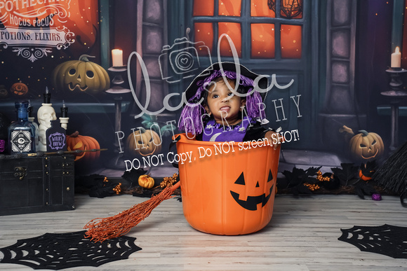 DSC08462