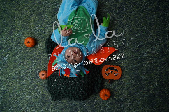 DSC00759